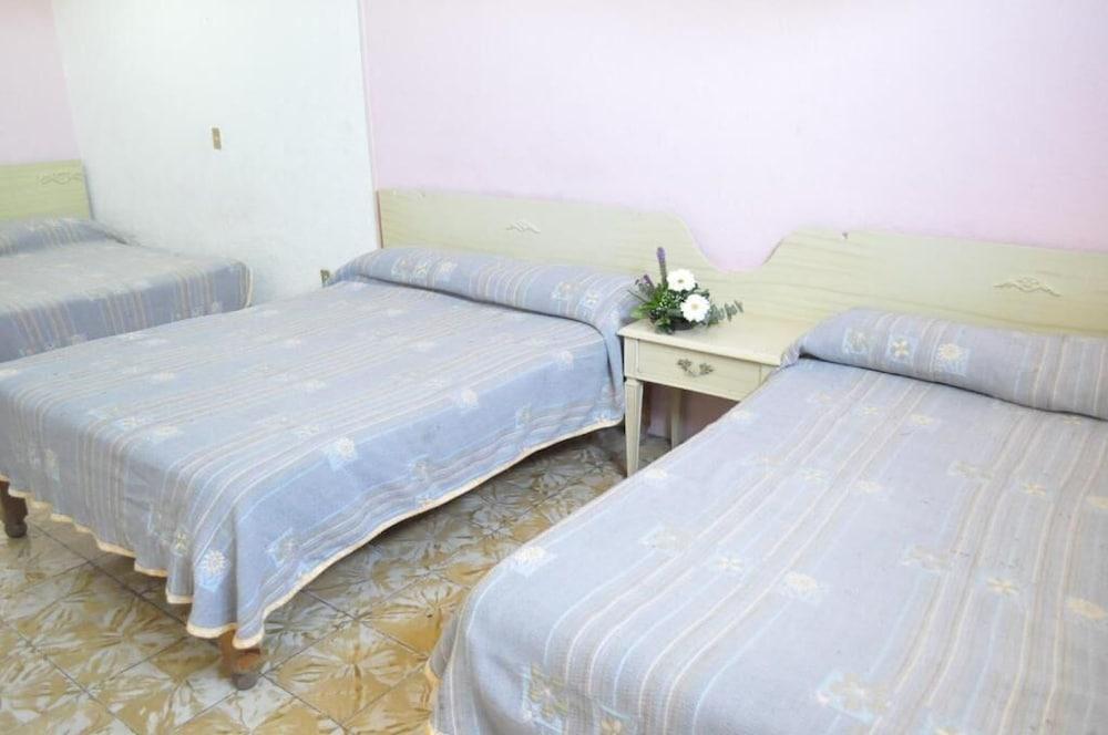 Hotel Viena Irapuato Εξωτερικό φωτογραφία