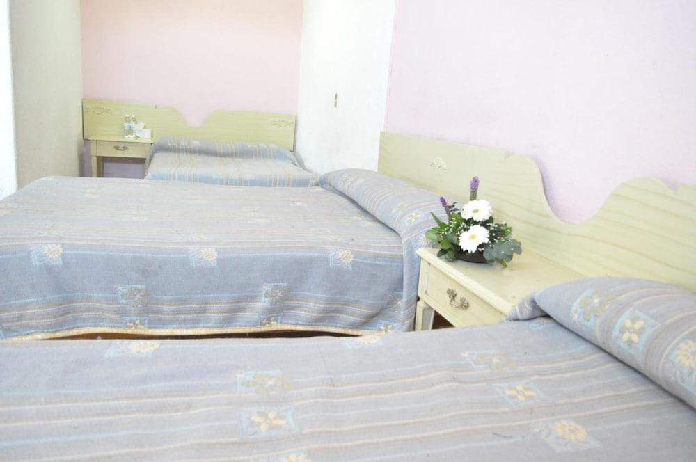 Hotel Viena Irapuato Εξωτερικό φωτογραφία