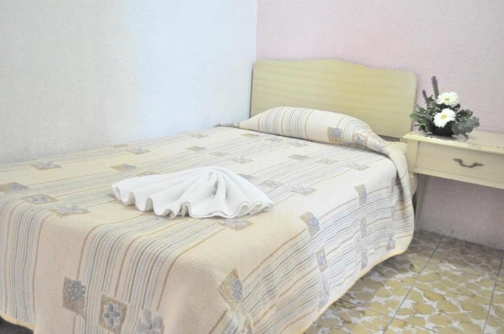 Hotel Viena Irapuato Εξωτερικό φωτογραφία